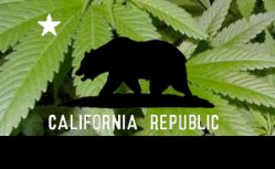 Cannabis in California 